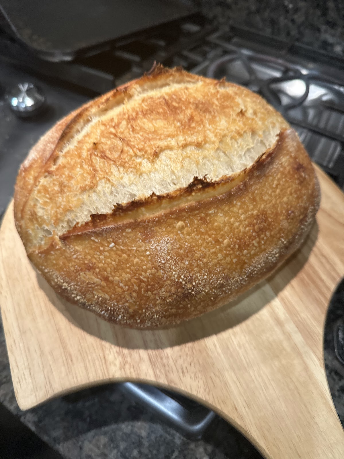 A flour-dusted country sourdough boule with a deep mahogany crust and a tall ear